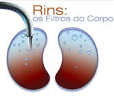 Nefrologia e Nefrologistas em Rio Branco