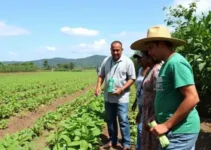 agricultura familiar