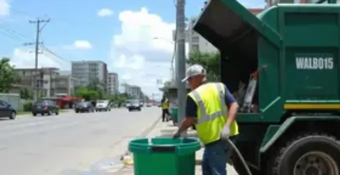 limpeza e retirada de entulhos