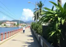revitalização de passarela