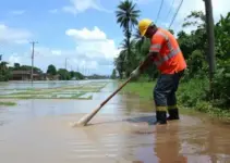 limpeza do igarapé batista