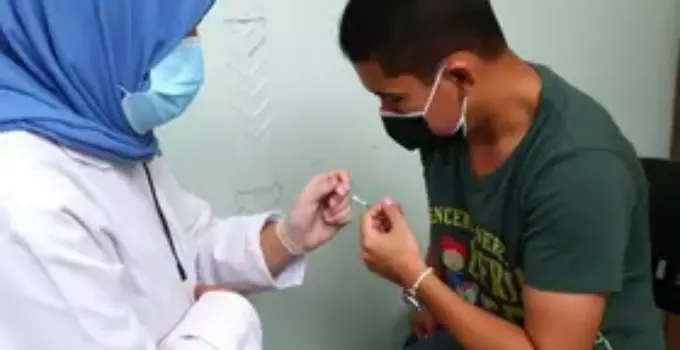 vacinação antirrábica