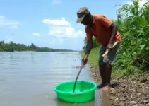limpeza de igarapé