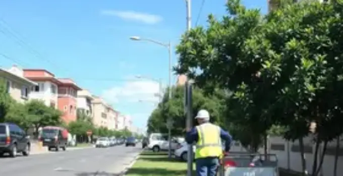 zeladoria e obras preventivas