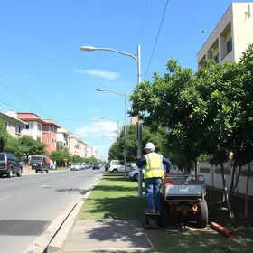 zeladoria e obras preventivas