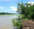 programa cuidar rio branco