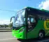 novos ônibus