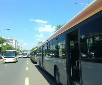 nova frota de ônibus