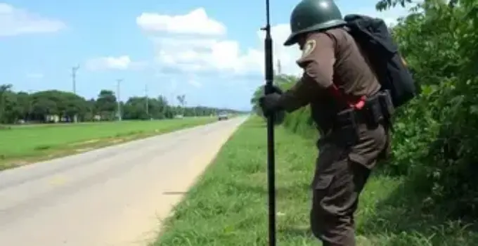 proteção animal e fiscalização ambiental