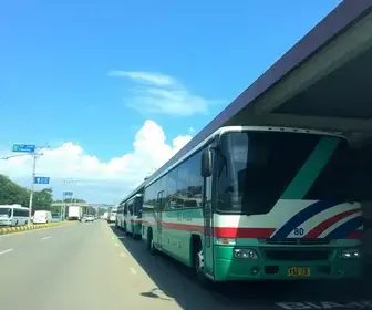 transporte gratuito Rio Branco
