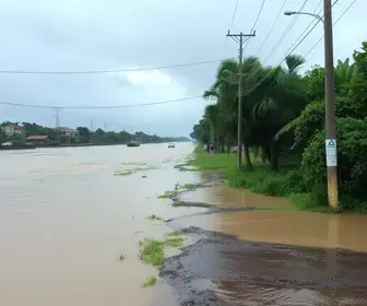 ações preventivas