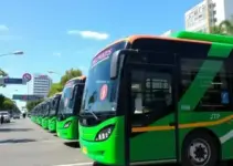 primeiros ônibus novos da JTP