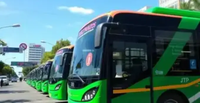primeiros ônibus novos da JTP